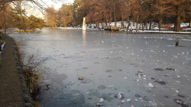 石神井公園 氷づけ 石神井公園 氷づけ