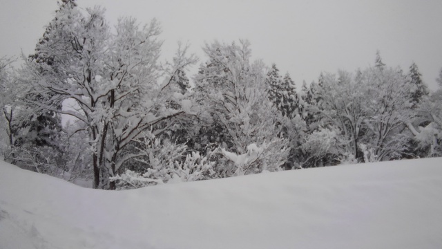 石打丸山に行ってきた! 石打丸山に行ってきた!