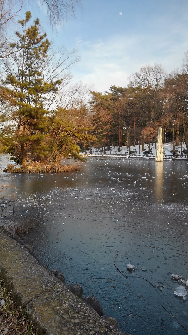 石神井公園 氷づけ 石神井公園 氷づけ