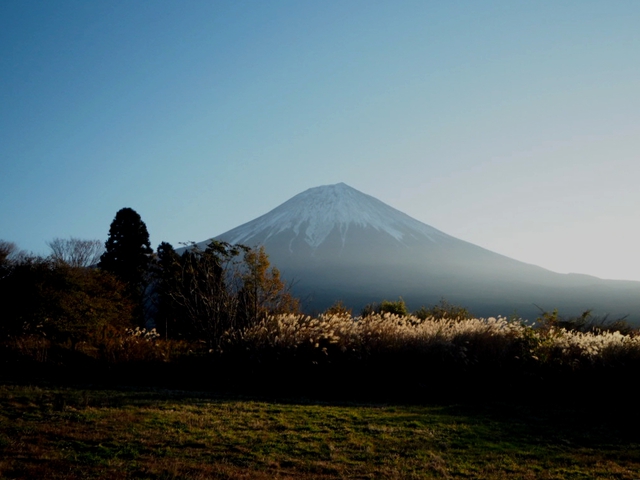富士山YMCA グローバル・エコ・ヴィレッジ。