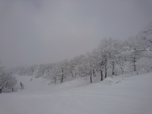 蔵王温泉スキー場に来ています！！