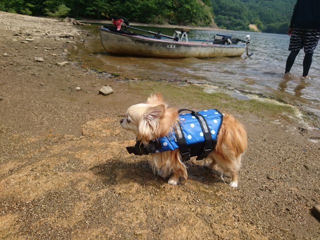 夏休み後半は小野川湖畔の家へ。