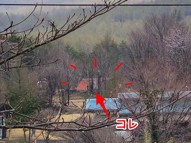 GWキャンプは天の川の下で 〜カンパーニャ嬬恋キャンプ場 その② GWキャンプは天の川の下で 〜カンパーニャ嬬恋キャンプ場 その②