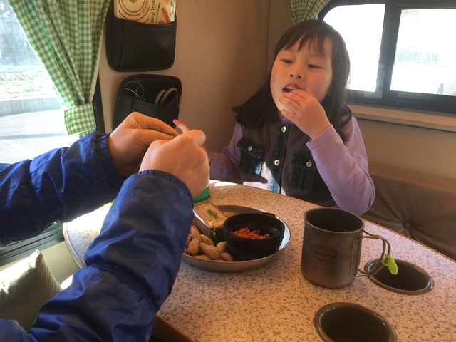 わが家のテントむし紹介 わが家のテントむし紹介