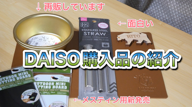 DAISO 購入品紹介 DAISO 購入品紹介