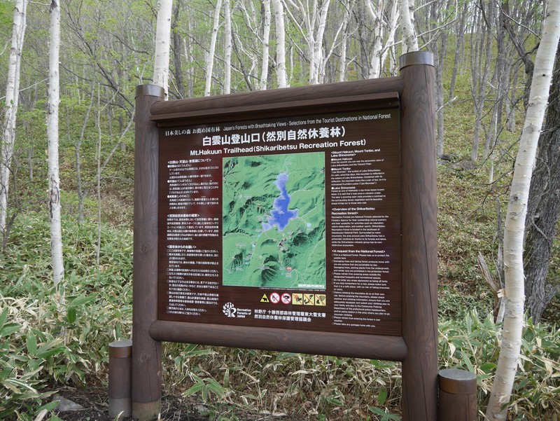 白雲山 ナキウサギ ポロシリ 白雲山 ナキウサギ ポロシリ