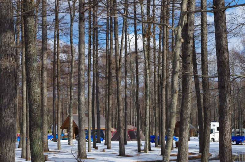 2016年初キャンプ