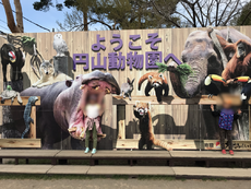円山動物園に行ってきた