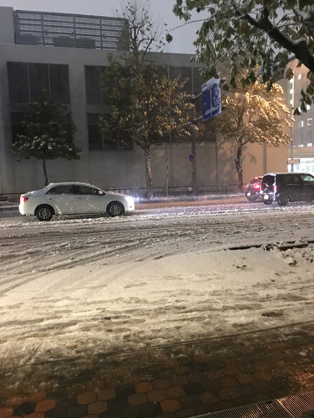 雪が積もってきた・・・。ついにきたか・・・。 雪が積もってきた・・・。ついにきたか・・・。