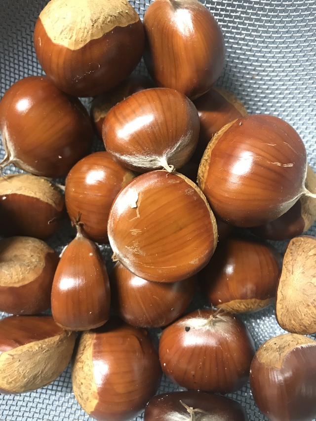 秋の味覚、栗。庭で毎年取れるけれど、食べ方に少々困ってきた・・・。 秋の味覚、栗。庭で毎年取れるけれど、食べ方に少々困ってきた・・・。