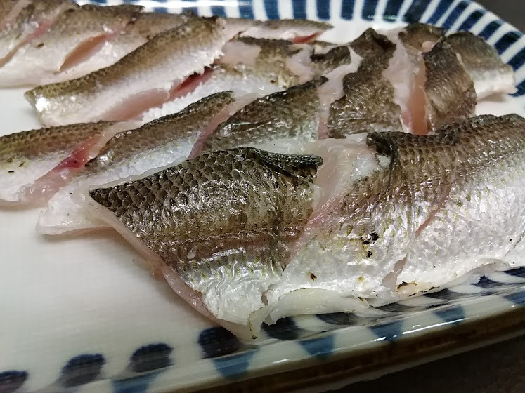 カマスのキモチ カマスのキモチ