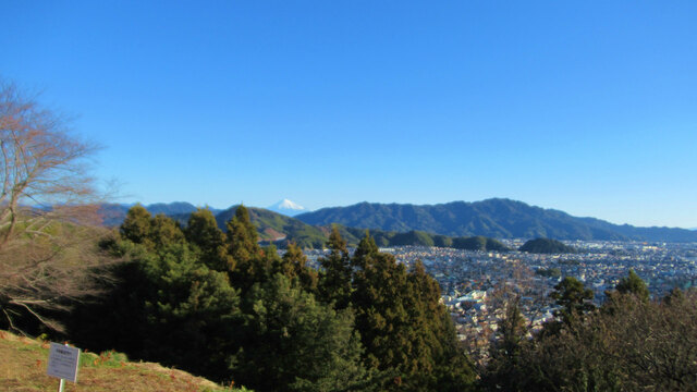 2024年、最初の蓮華寺池公園へ2024/01/01 2024年、最初の蓮華寺池公園へ2024/01/01