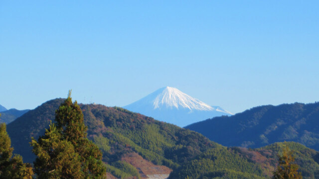 2024年、最初の蓮華寺池公園へ2024/01/01 2024年、最初の蓮華寺池公園へ2024/01/01