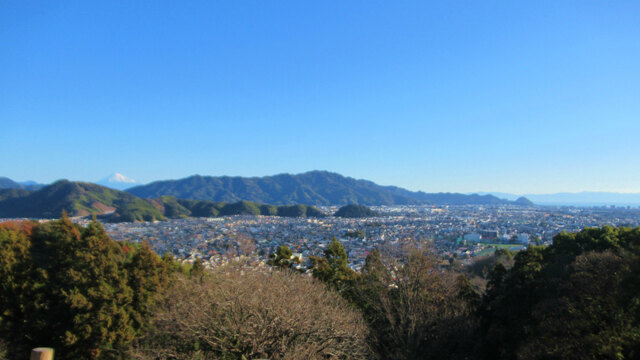2024年、最初の蓮華寺池公園へ2024/01/01 2024年、最初の蓮華寺池公園へ2024/01/01