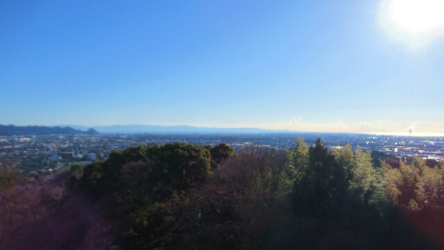 2024年、最初の蓮華寺池公園へ2024/01/01 2024年、最初の蓮華寺池公園へ2024/01/01