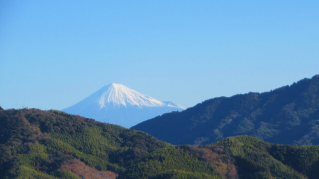 2024年、最初の蓮華寺池公園へ2024/01/01 2024年、最初の蓮華寺池公園へ2024/01/01