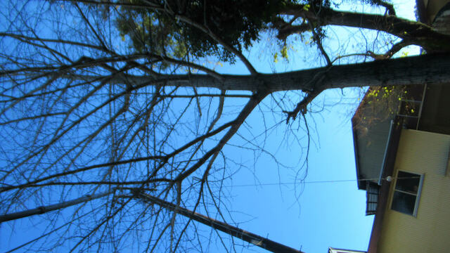 2024年、最初の蓮華寺池公園へ2024/01/01 2024年、最初の蓮華寺池公園へ2024/01/01