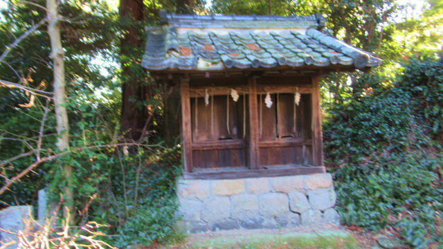 2024年、最初の蓮華寺池公園へ2024/01/01 2024年、最初の蓮華寺池公園へ2024/01/01