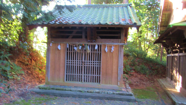 2024年、最初の蓮華寺池公園へ2024/01/01 2024年、最初の蓮華寺池公園へ2024/01/01
