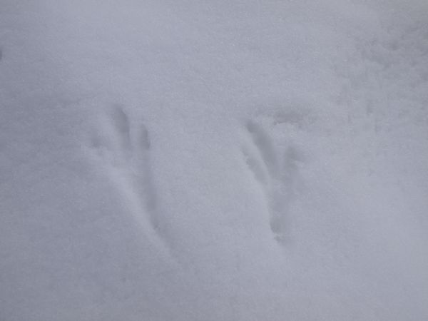期待と不安の中で・・・*Toritate snow hike