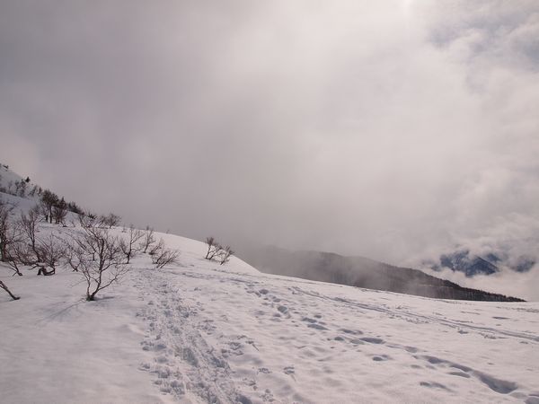 期待と不安の中で・・・*Toritate snow hike