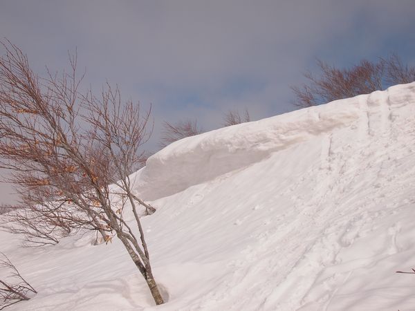 期待と不安の中で・・・*Toritate snow hike