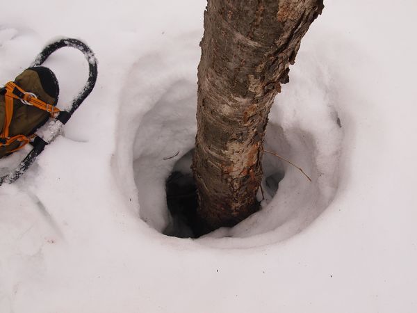 期待と不安の中で・・・*Toritate snow hike