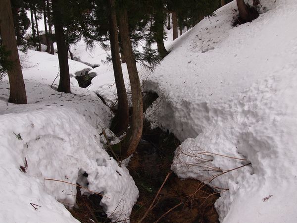 期待と不安の中で・・・*Toritate snow hike