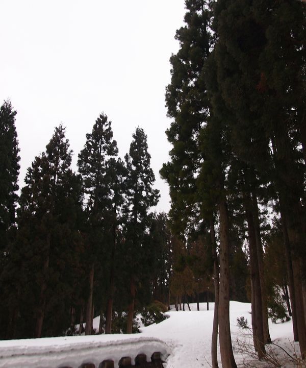 期待と不安の中で・・・*Toritate snow hike