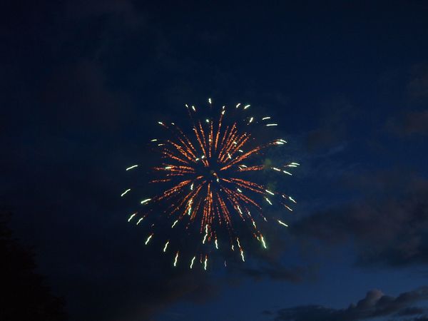 夏の始まり☆* 夏の始まり☆*