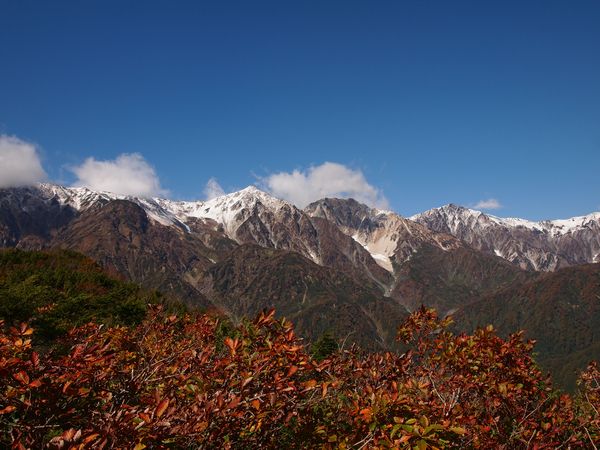 唐松岳~白馬三山を望む 紅葉山遊び*