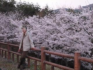 お花見キャンプin青土ダムキャンプ場