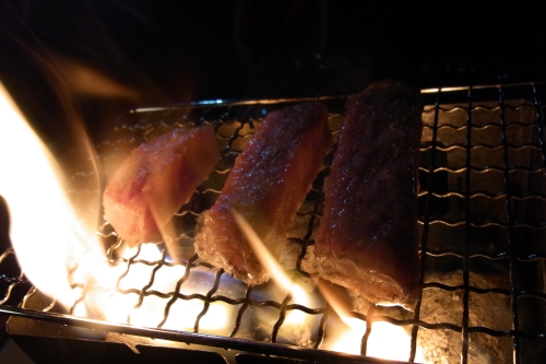 ダートを楽しもう