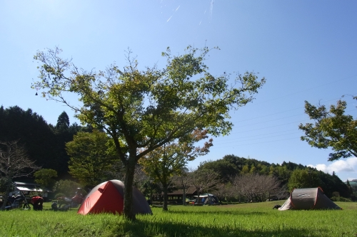 ダートを楽しもう