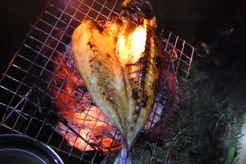 最期の清流 極寒四万十キャンプツーリング