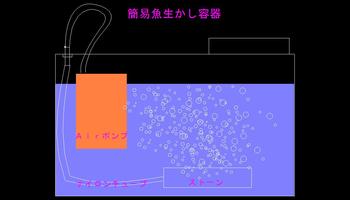 アオリイカ活餌釣り アジの活かしを作ろう(^o^)