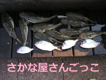 サンポート高松ファミリー釣り大会