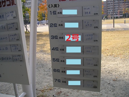 サンポート高松ファミリー釣り大会
