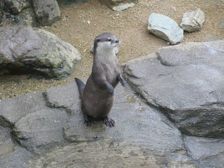 う~~行けない (≧3≦)