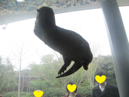 う~~行けない (≧3≦)