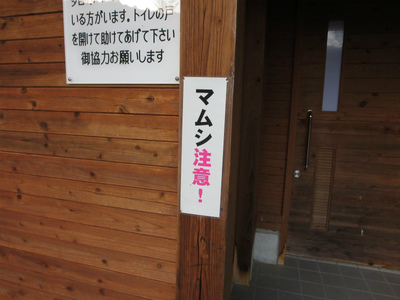 1枚の写真(つづき)