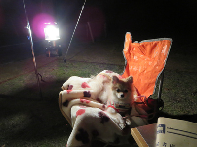1枚の写真