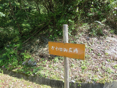 1枚の写真(つづき)