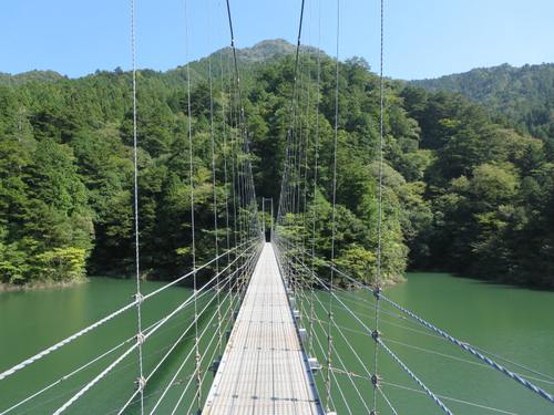 1枚の写真(つづき)