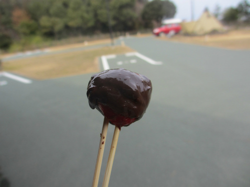 2013キャンプ始め