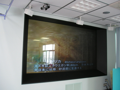 キャンプ場の体験教室