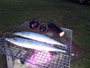 やっぱり落ち着きますね~大池②