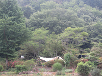 2013ホタルキャンプ