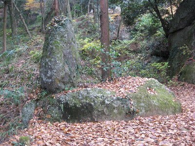 道夫秀介の「月と蟹」