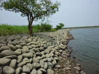 撃沈 のち 豊漁【若狭大島・高浜地磯・小浜新港⇒木曽川】